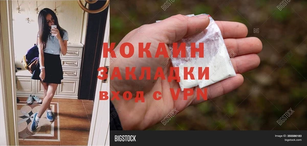 Альфа ПВП Верея