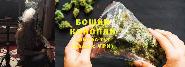 дживик Верхний Тагил