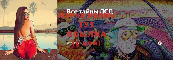дживик Верхний Тагил