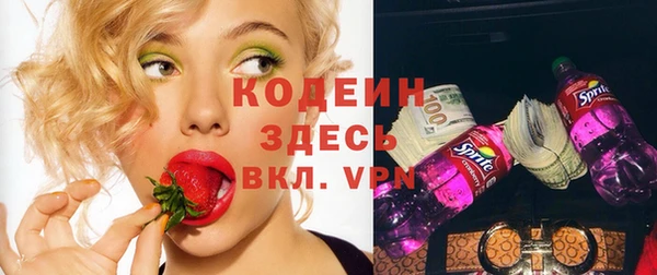 дживик Верхний Тагил