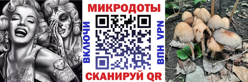 Галлюциногенные грибы GOLDEN TEACHER  Гулькевичи 